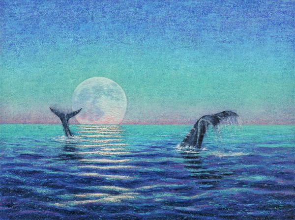 Moondance by Peter C. Stone