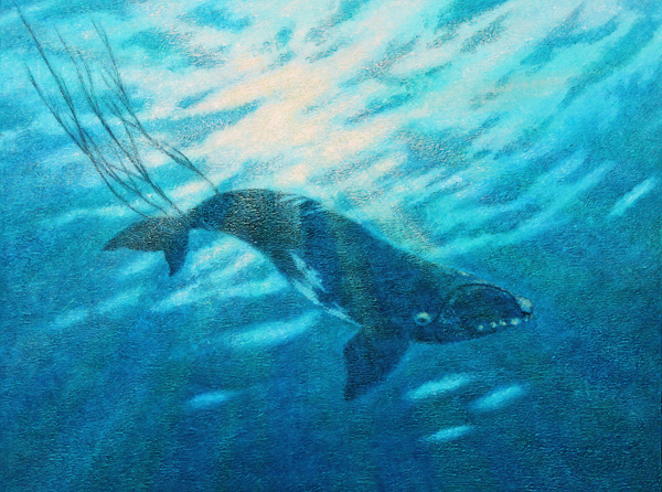 Pilgrim by Peter C. Stone Pilgrim by Peter C. Stone