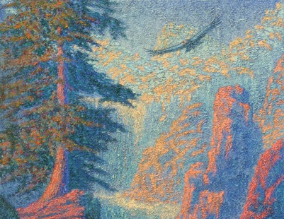 Ponderosa; Ponderosa Pine, Yellow Pine (Pinus ponderosa)