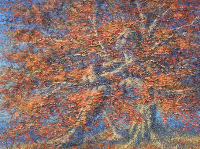 Oak Dreamer, from The Untouchable Tree