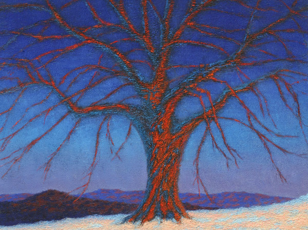 Sentinel, from The Untouchable Tree